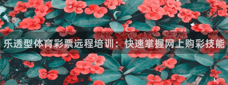 焦点娱乐官网首页入口网址：乐透型体育彩票远程培训：快速掌握网