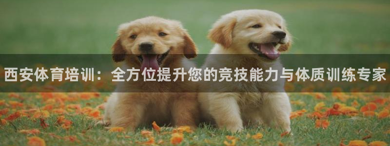 焦点娱乐官网首页入口