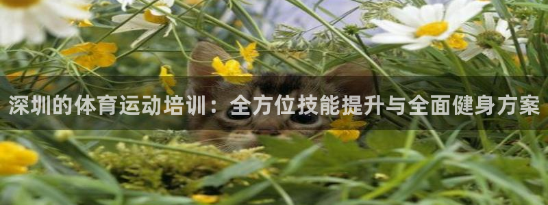 焦点娱乐官网首页入口