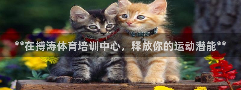 焦点娱乐平台账号在哪注册：**在搏涛体育培训中心，释