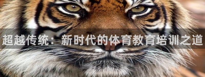 焦点娱乐传媒有限公司怎么样呀