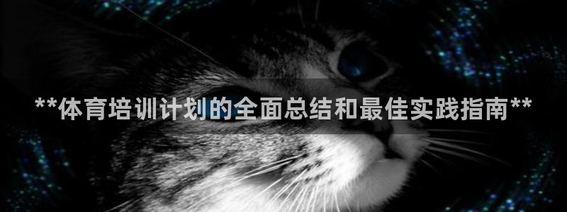 焦点娱乐如何注册账号和密码登录：**体育培训计划的全面总结和