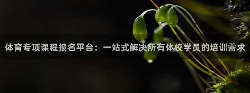 焦点娱乐家 5O6917 焦点：体育专项课程报名平台：一站式