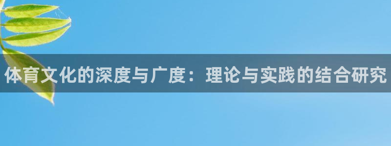 焦点娱乐门徒娱乐骗局曝光：体育文化的深度与广度：理论