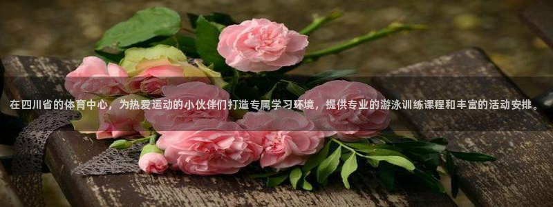 焦点娱乐官方网站下载安装手机版：在四川省的体育中心，