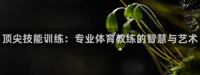 焦点娱乐加速器下载安装