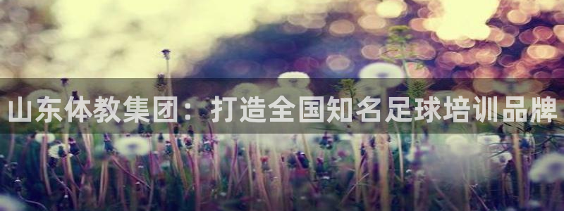 焦点娱乐软件版本大全：山东体教集团：打造全国知名足球