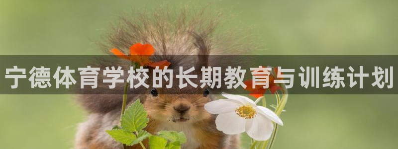 焦点娱乐官方网站下载安装手机版