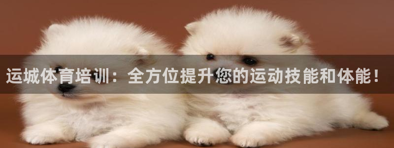 焦点娱乐官网下载苹果版：运城体育培训：全方位提升您的