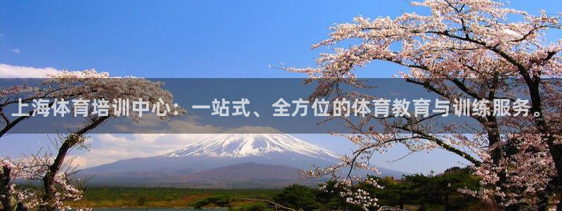 焦点娱乐如何注册账号的：上海体育培训中心：一站式、全方位的体