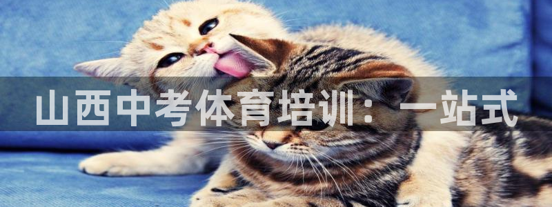 焦点娱乐传媒有限公司是干嘛的：山西中考体育培训：一站式