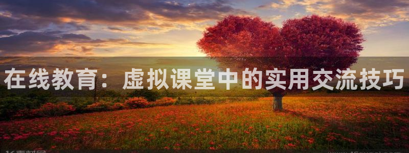 焦点娱乐待遇：在线教育：虚拟课堂中的实用交流技巧