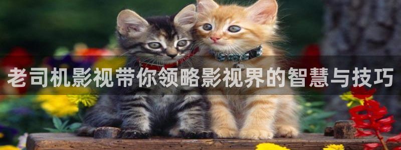 亚洲狠狠影院