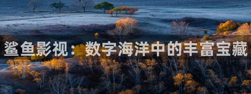 色狠狠影院