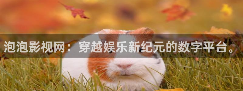 狠狠影院/
