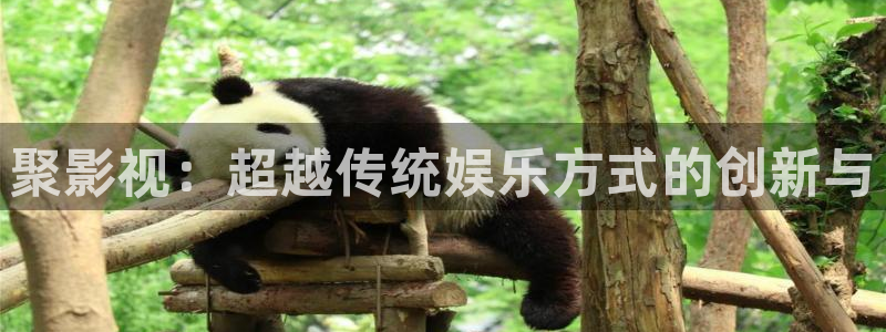 奇米影视8888狠狠狠狠影院